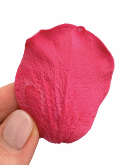 Молд вайнер силиконовый для лепки лепестков Розы