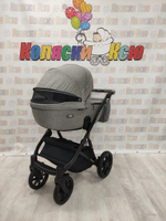 Коляска модульная Riko Basic Montana 04 графит