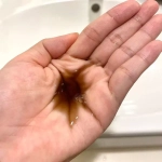 Rey Beauty Studio Восстанавливающий шампунь Рэй Бьюти Студио - Rey Breathing Shampoo, 300 мл