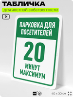 Табличка для частной территории "Парковка для посетителей, 20 минут", на дом, для участка, организаций и частных территорий, предупреждающая, 40х30 см, Silver Plane x Айдентика Технолоджи