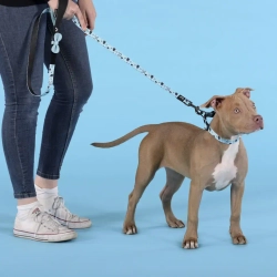 United pets complete me writing ошейник для собак, s 26-40/1,6 см, голубой с рисунком