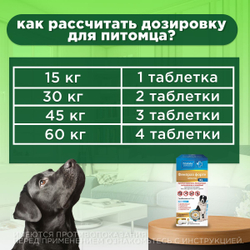 Таблетки от гельминтов и лямблий, профилактика дирофиляриоза для собак крупных пород Фенпраз Форте XL, 6 таблеток