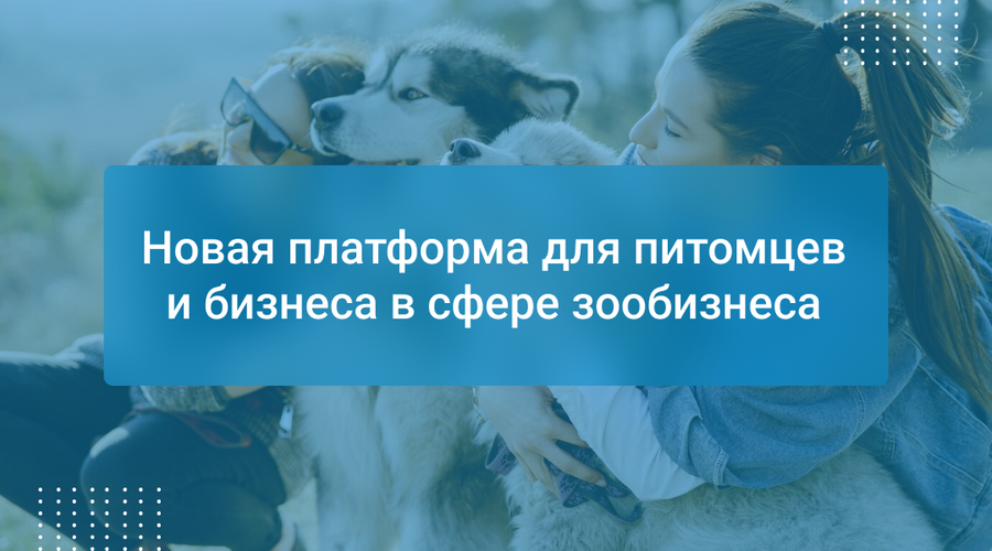 Новая платформа для питомцев и бизнеса в сфере зообизнеса