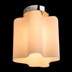 Потолочный светильник Arte Lamp