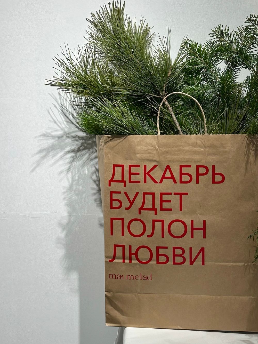 Композиция из хвои в крафт пакете