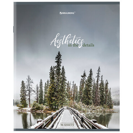 Тетрадь А5, 96 л., BRAUBERG, скоба, клетка, глянцевая ламинация, "Nature", 404427, 1шт