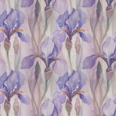 нежные цветы, ирис, лучизм, свет изнутри, поле