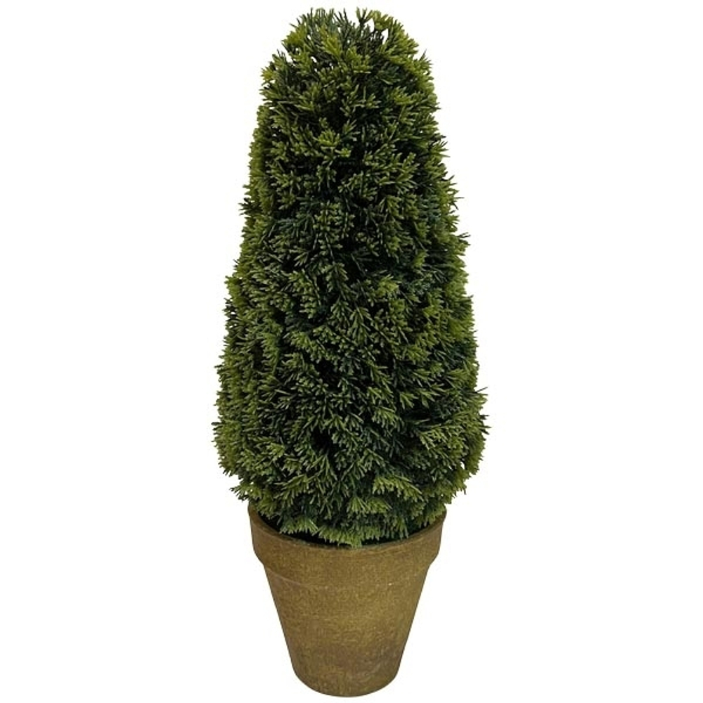 Туя в кашпо 15x15x36см