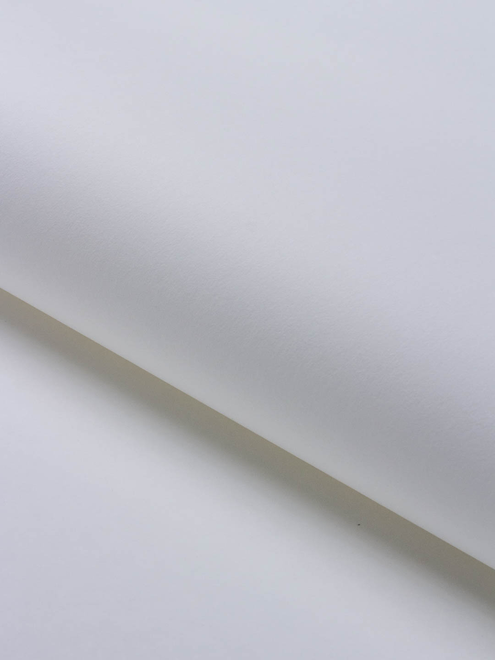 Обои Rasch Wallton 177602