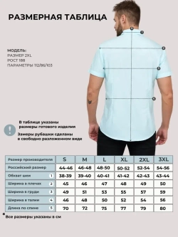 Рубашка приталенная с коротким рукавом