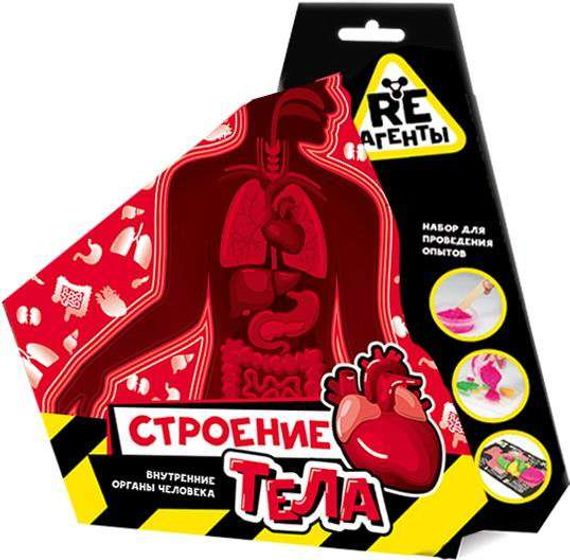 Научно-познавательный набор "Строение тела", модели "Re-Агенты"
