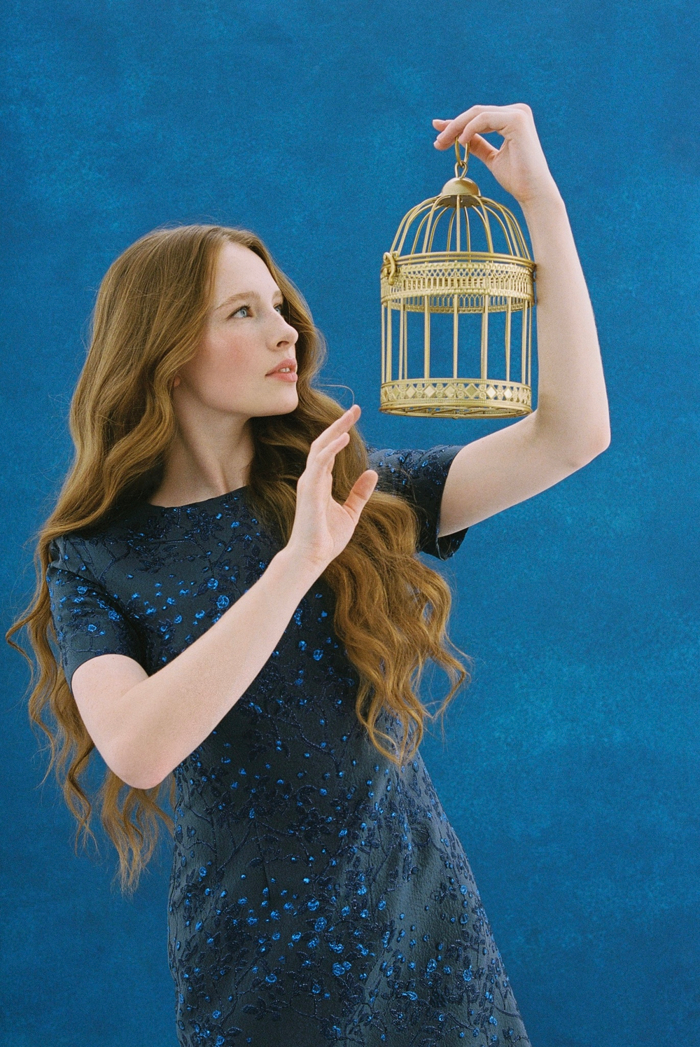 Bluebird dress