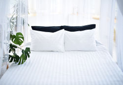 Страйп-Сатин