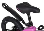 Maxiscoo COSMIC Deluxe 16'' (2025)