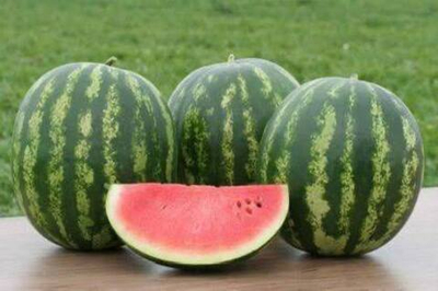 Ница семена арбуза (ПОИСК)