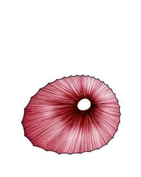 Sikus Wall & Ceiling Light by aqua creations