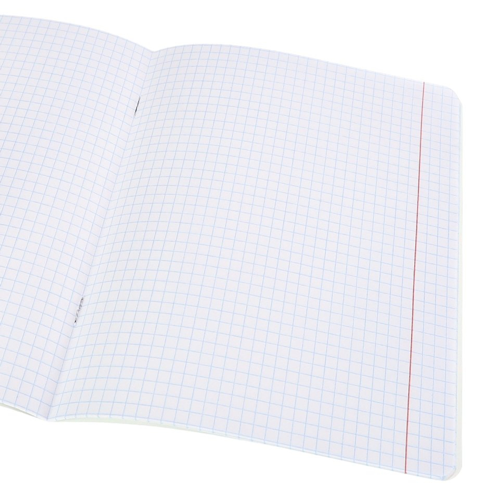 Тетрадь 24л., клетка, Проф-Пресс, скрепка, блок офсет, мелованный картон,"Дерзкие девчонки", 5 дизайнов в спайке