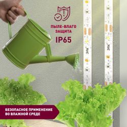 Светодиодная лента для растений ЭРА FITO-Strip Light-Rа90-3m полного спектра 3м IP65, с адаптером 12V в комплекте