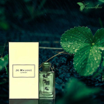 Jo Malone Nasturtium& Clover