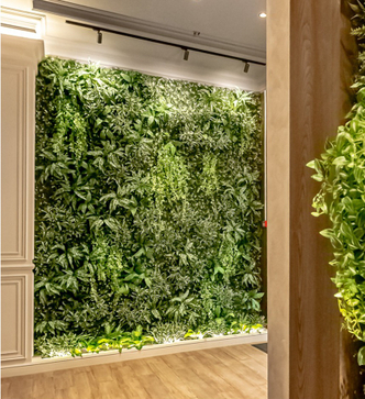 Вертикальное озеленение