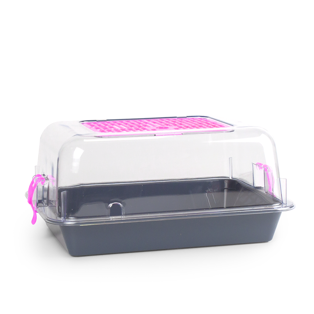 Террариум ZOOSET прозрачный серый/сиреневый - S (33х24х15 см)