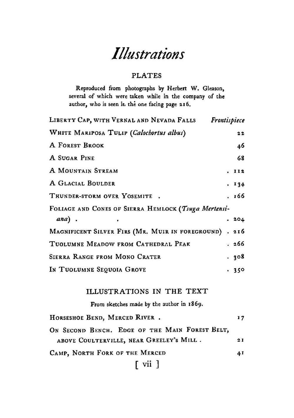 My first summer in the Sierra | Muir John