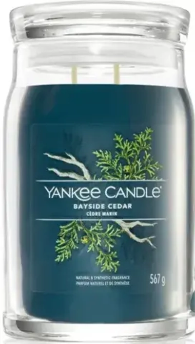 YANKEE CANDLE BAYSIDE CEDAR 567 GR