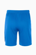 Шорты Nike Team Volleyball Spike