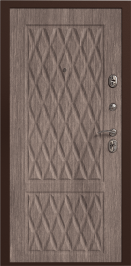 Дверь входная Лидер