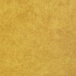 Велюр Jaguar (Ягуар) 15