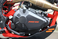 Мотоцикл кроссовый эндуро PROCIDA 2020 PR300