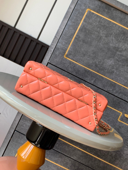 Chanel Bag (2 sizes)