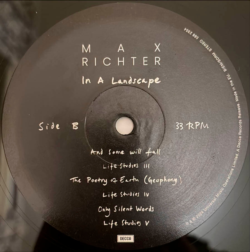 Max Richter / In A Landscape (2LP)