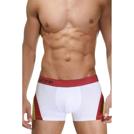 Трусы мужские боксеры белые DARKZONE DZN4102