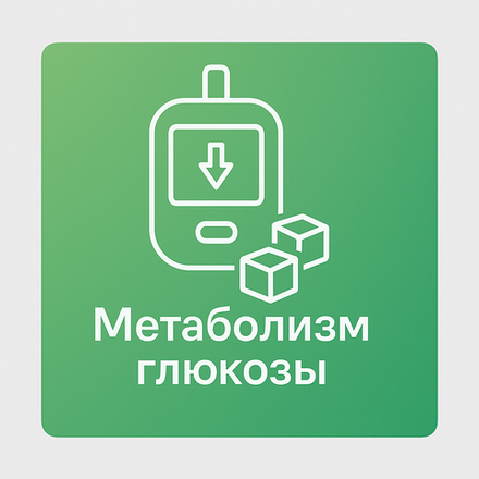 Метаболизм глюкозы