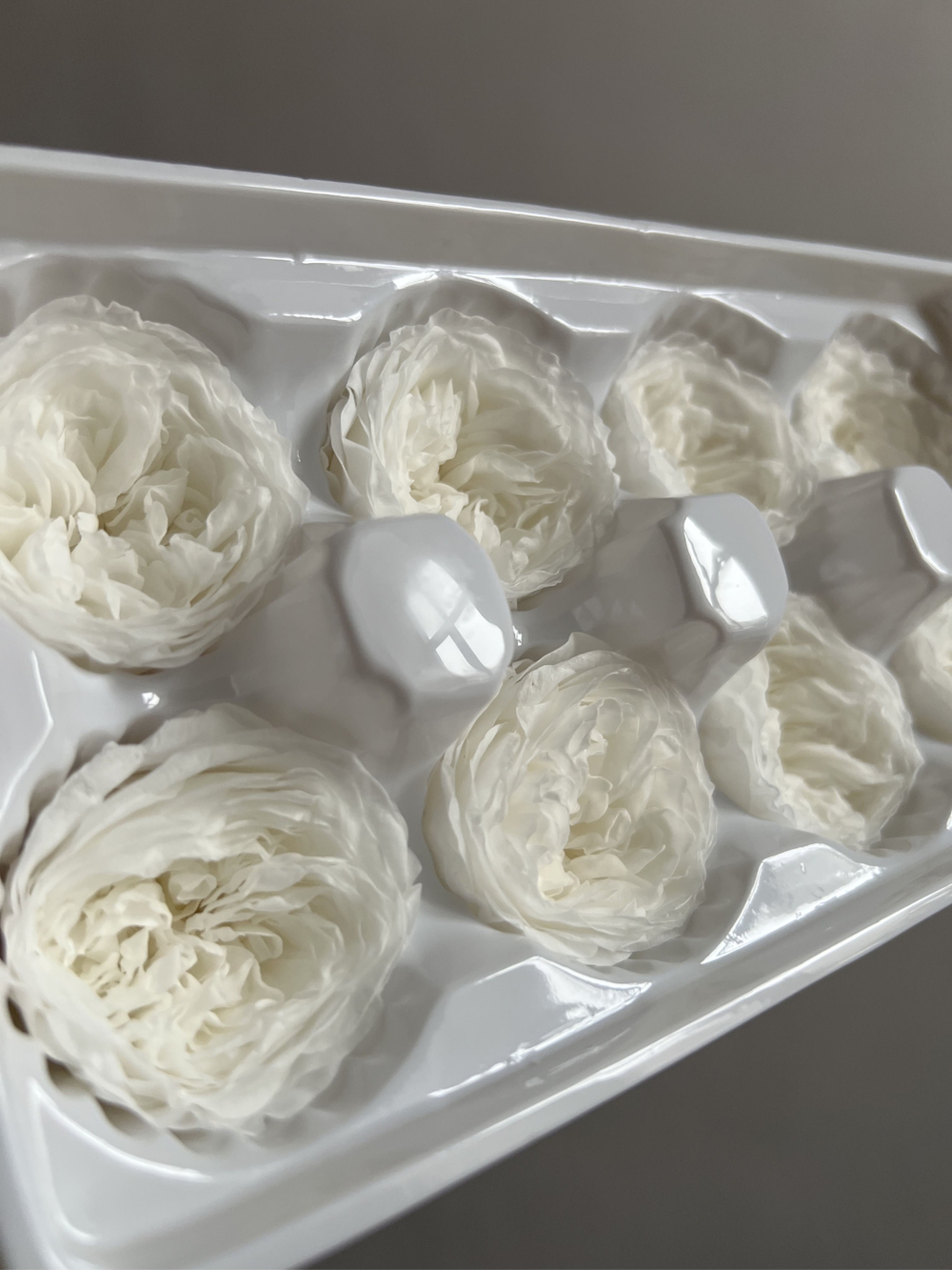 Роза пиновидная белая d=4-5 см (упак 8 шт)