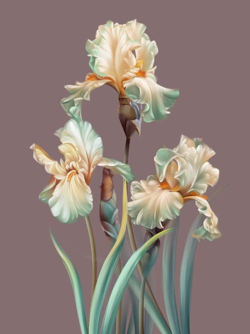 Дизайнерские №605 Фотообои и Фрески