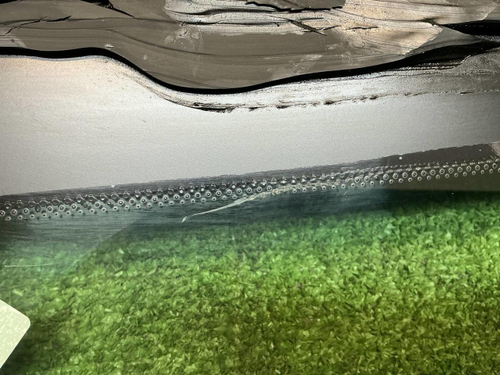 Форточка двери задняя правая BMW X3 F25 (10-17)