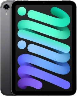 iPad mini (2021) 256GB