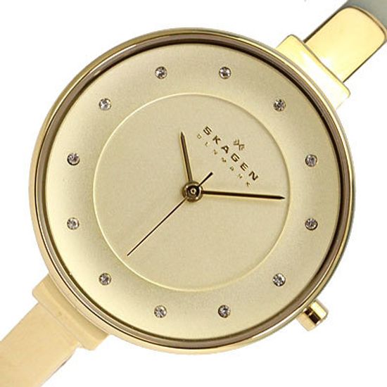 Женские часы Skagen SKW2229