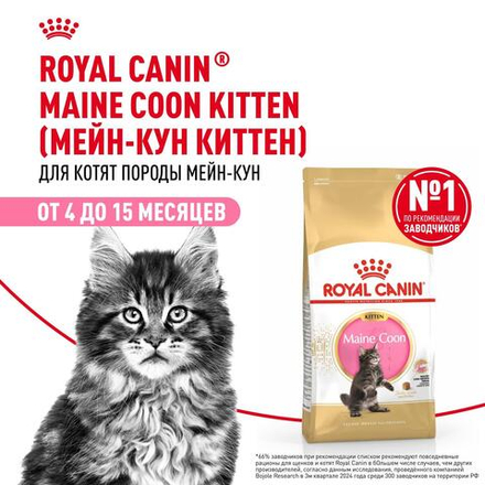 Royal Canin Maine Coon Kitten Киттен Мейн Кун Корм сухой для котят породы Мэйн Кун в возрасте от 4 до 15 месяцев 400г