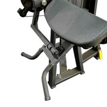 A2087 Бицепс / Трицепс сидя. Стек 100 кг