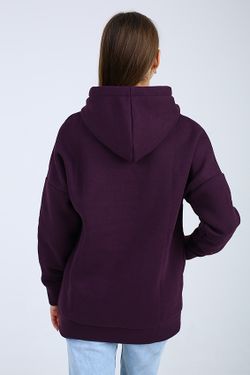 С-603 / Худи / с начёсом