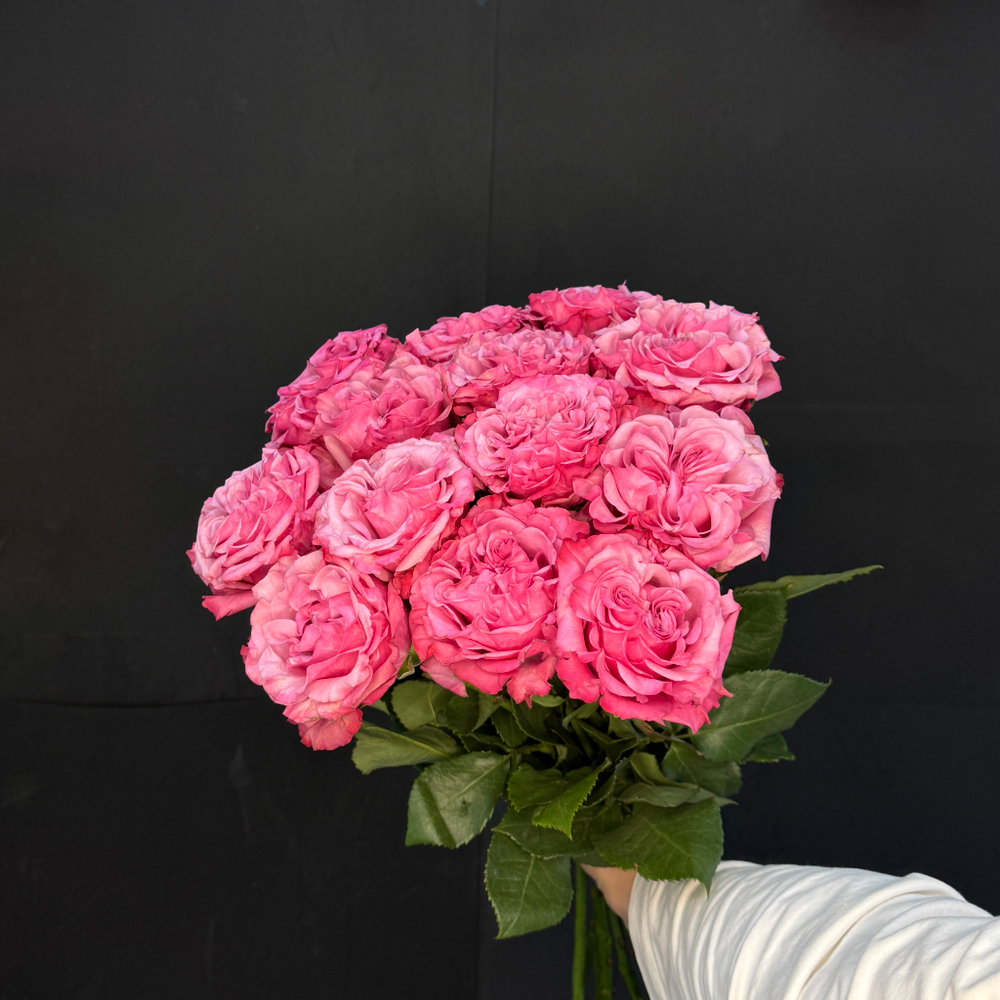 Роза Кантри Блю / 1 шт