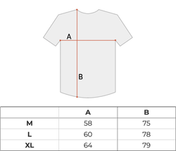 Футболка мужская Nike SB Tall Logo