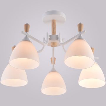 01622-0.3-05 WH+WOOD светильник потолочный