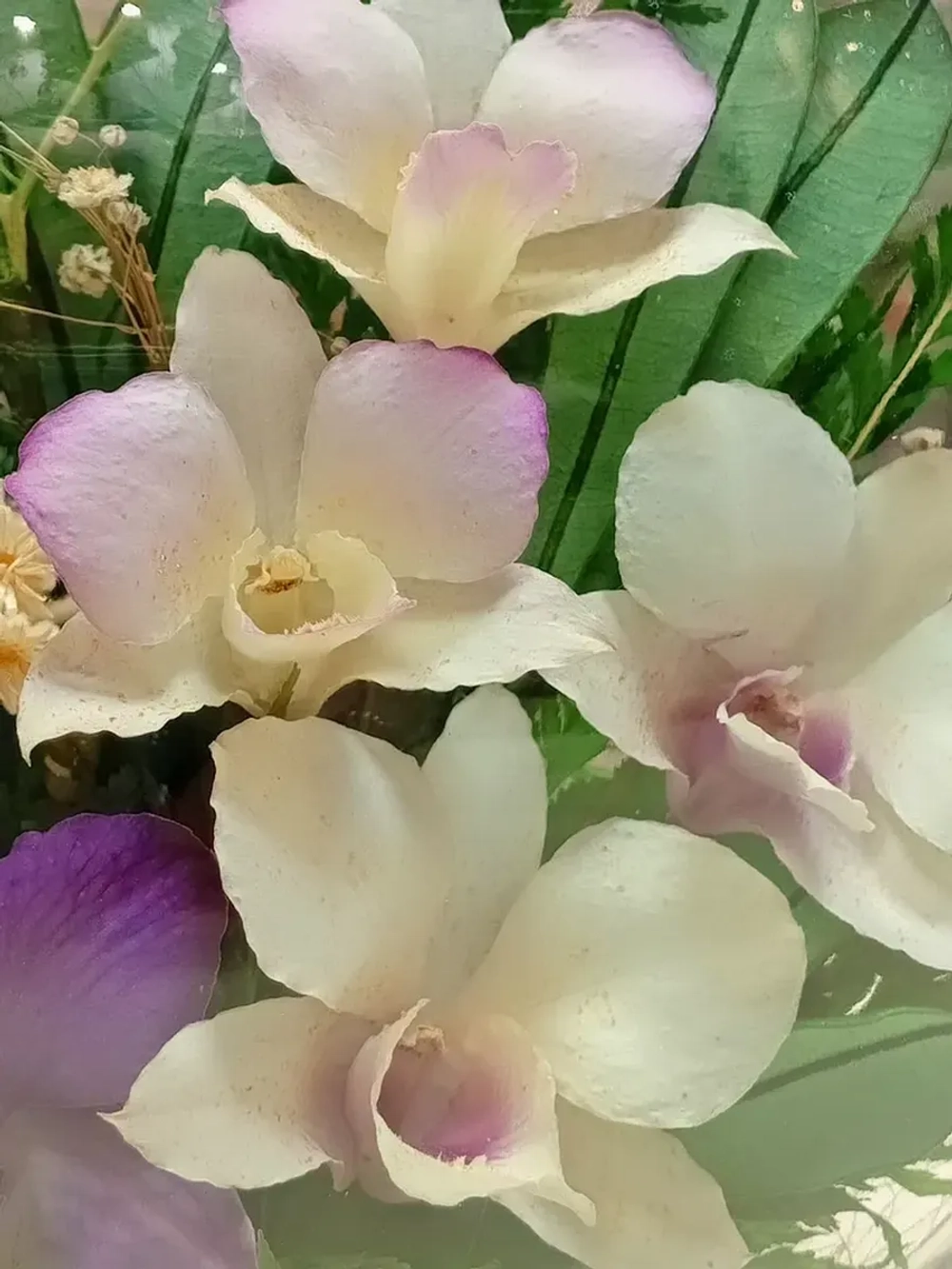 натуральные цветы в стекле, вакуум