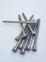 Cаморезы с цилиндрической головкой для строительства террас TBS-drill C1 5,0x70/42 TX25 100 шт/упаковка