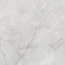 Connect Gris Керамогранит серый SG619922R 60х60 полированный