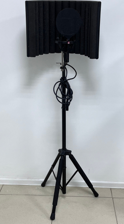 sE Electronics X1 S